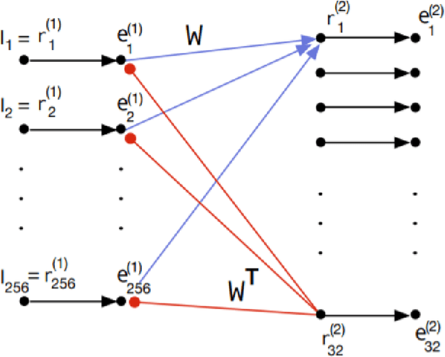 Figure 3 for Hierarchical Predictive Coding Models in a Deep-Learning Framework