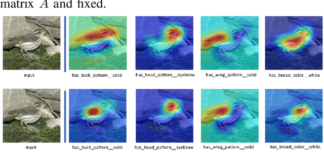 Figure 2 for On Implicit Attribute Localization for Generalized Zero-Shot Learning