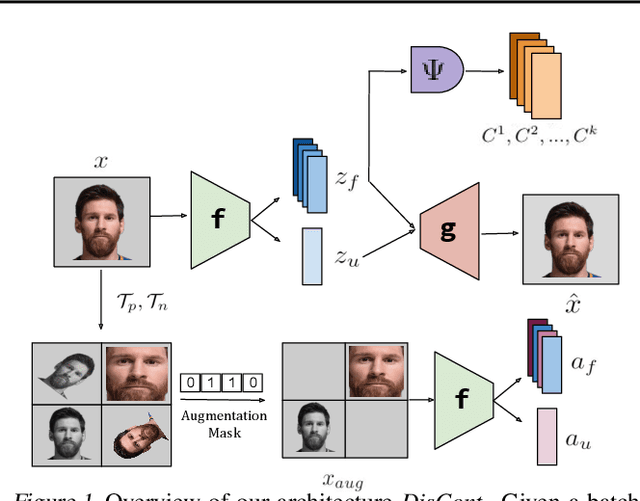 Figure 1 for DisCont: Self-Supervised Visual Attribute Disentanglement using Context Vectors
