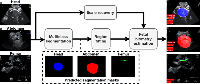 Figure 4 for AutoFB: Automating Fetal Biometry Estimation from Standard Ultrasound Planes