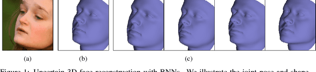 Figure 1 for Informed MCMC with Bayesian Neural Networks for Facial Image Analysis