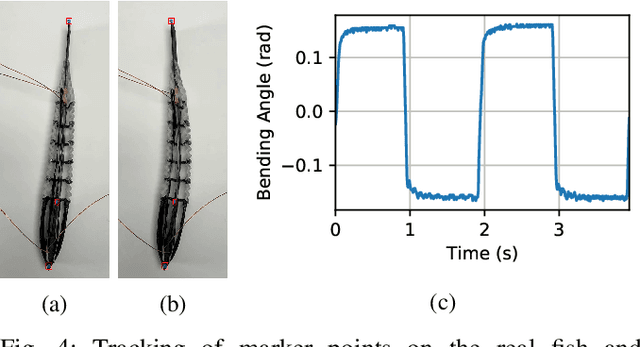 Figure 4 for Planar Modeling and Sim-to-Real of a Tethered Multimaterial Soft Swimmer Driven by Peano-HASELs