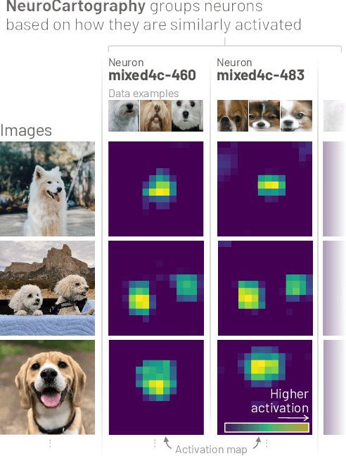 Figure 2 for NeuroCartography: Scalable Automatic Visual Summarization of Concepts in Deep Neural Networks