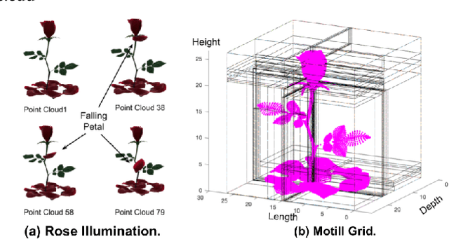 Figure 1 for Display of 3D Illuminations using Flying Light Specks