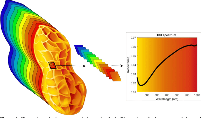 Figure 1 for Peanut Maturity Classification using Hyperspectral Imagery