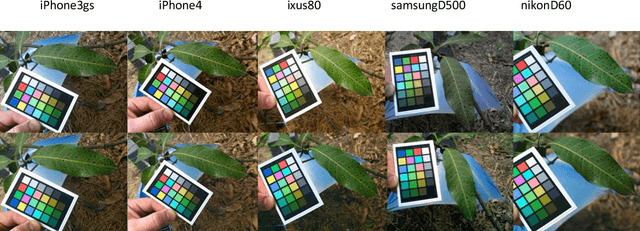 Figure 3 for Towards automated mobile-phone-based plant pathology management