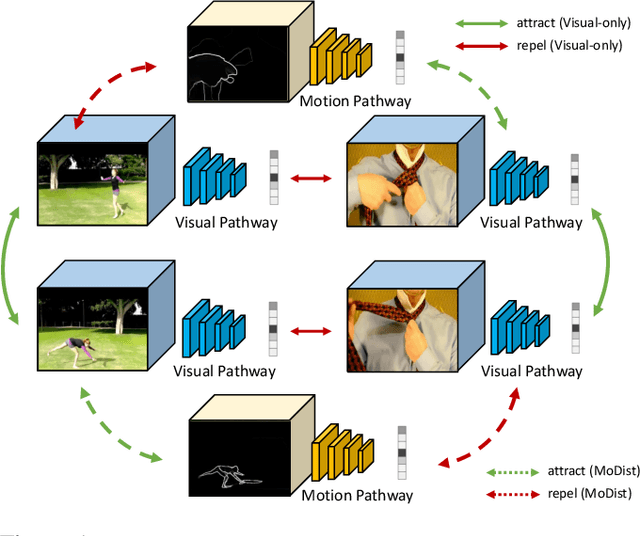 Figure 1 for MoDist: Motion Distillation for Self-supervised Video Representation Learning