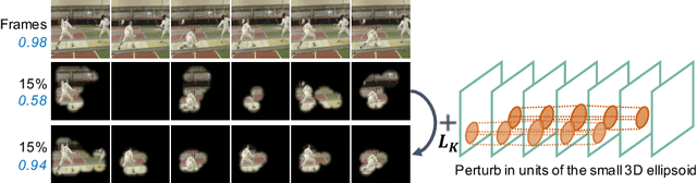 Figure 2 for Spatio-Temporal Perturbations for Video Attribution