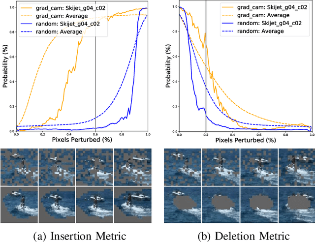 Figure 4 for Spatio-Temporal Perturbations for Video Attribution