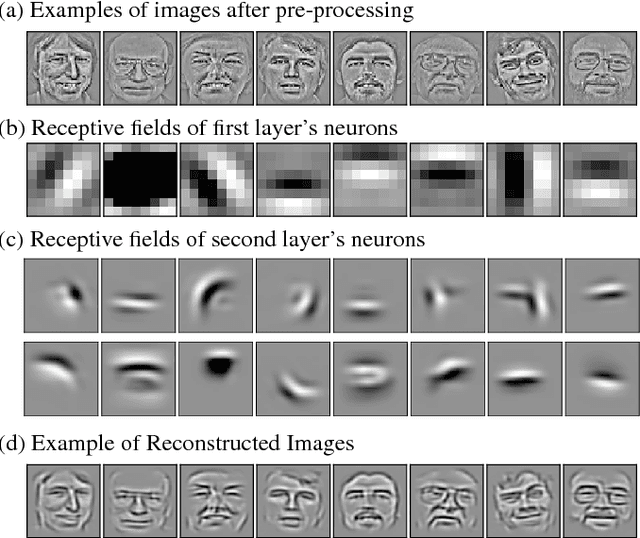 Figure 2 for From biological vision to unsupervised hierarchical sparse coding