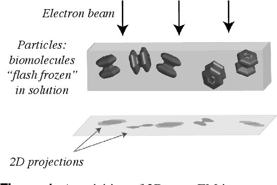 Figure 1 for Deep Generative Modeling for Volume Reconstruction in Cryo-Electron Microscopy