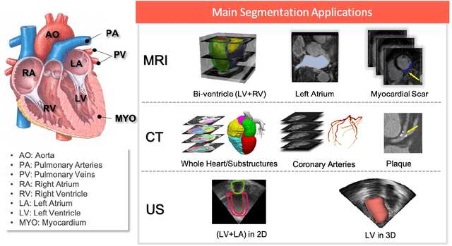 Figure 1 for Deep learning for cardiac image segmentation: A review