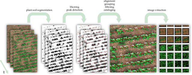 Figure 1 for Agricultural Plant Cataloging and Establishment of a Data Framework from UAV-based Crop Images by Computer Vision