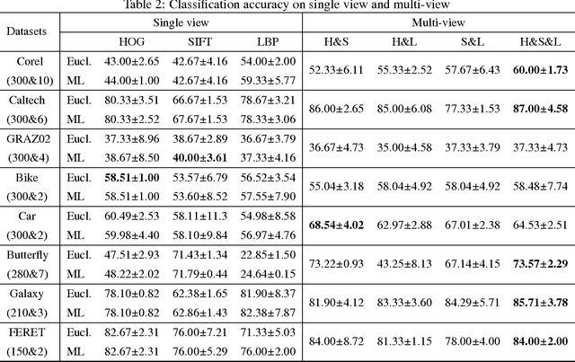 Figure 4 for Multi-view metric learning for multi-instance image classification