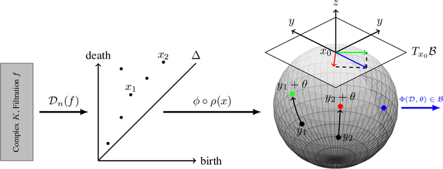 Figure 1 for Learning Hyperbolic Representations of Topological Features