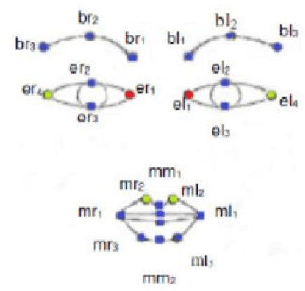 Figure 1 for Unifying Geometric Features and Facial Action Units for Improved Performance of Facial Expression Analysis