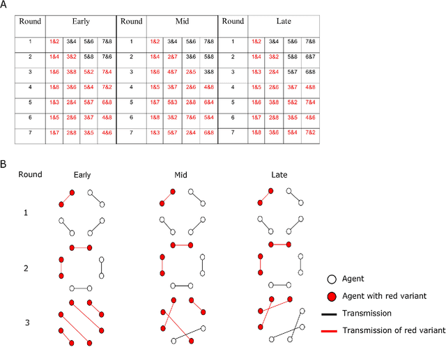 Figure 1 for Network connectivity dynamics affect the evolution of culturally transmitted variants