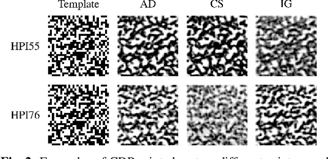 Figure 3 for Printing variability of copy detection patterns