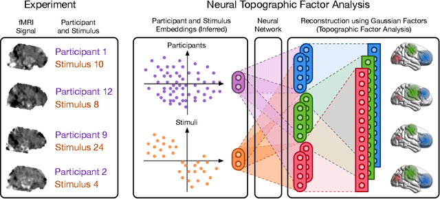 Figure 1 for Neural Topographic Factor Analysis for fMRI Data