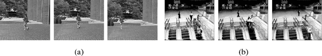 Figure 1 for Moving Object Detection by Detecting Contiguous Outliers in the Low-Rank Representation