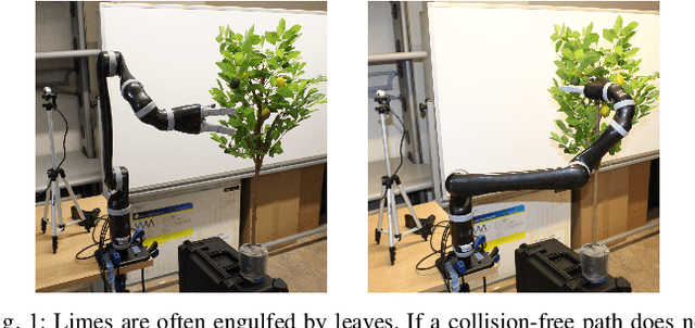 Figure 1 for Robotic Lime Picking by Considering Leaves as Permeable Obstacles