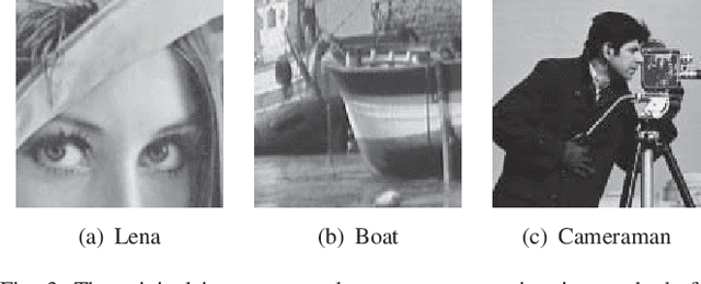 Figure 4 for Fast Bayesian Restoration of Poisson Corrupted Images with INLA