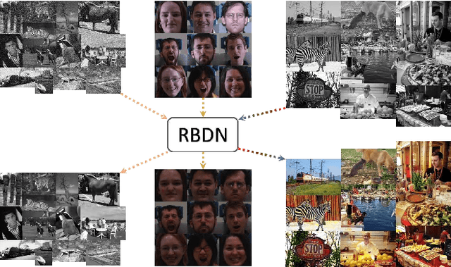 Figure 1 for Generalized Deep Image to Image Regression