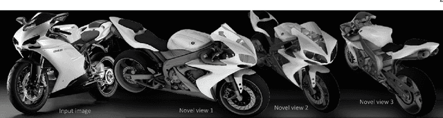 Figure 1 for Novel Views of Objects from a Single Image