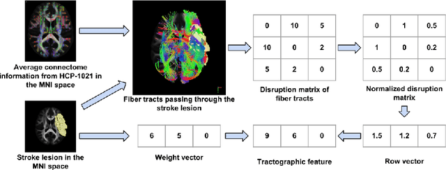 Figure 1 for Predicting Clinical Outcome of Stroke Patients with Tractographic Feature
