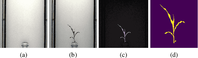 Figure 1 for A Novel Technique Combining Image Processing, Plant Development Properties, and the Hungarian Algorithm, to Improve Leaf Detection in Maize