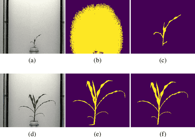 Figure 3 for A Novel Technique Combining Image Processing, Plant Development Properties, and the Hungarian Algorithm, to Improve Leaf Detection in Maize