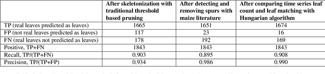 Figure 4 for A Novel Technique Combining Image Processing, Plant Development Properties, and the Hungarian Algorithm, to Improve Leaf Detection in Maize