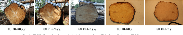 Figure 2 for Two-stage CNN-based wood log recognition