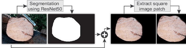 Figure 3 for Two-stage CNN-based wood log recognition