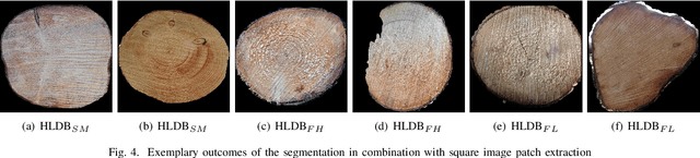 Figure 4 for Two-stage CNN-based wood log recognition
