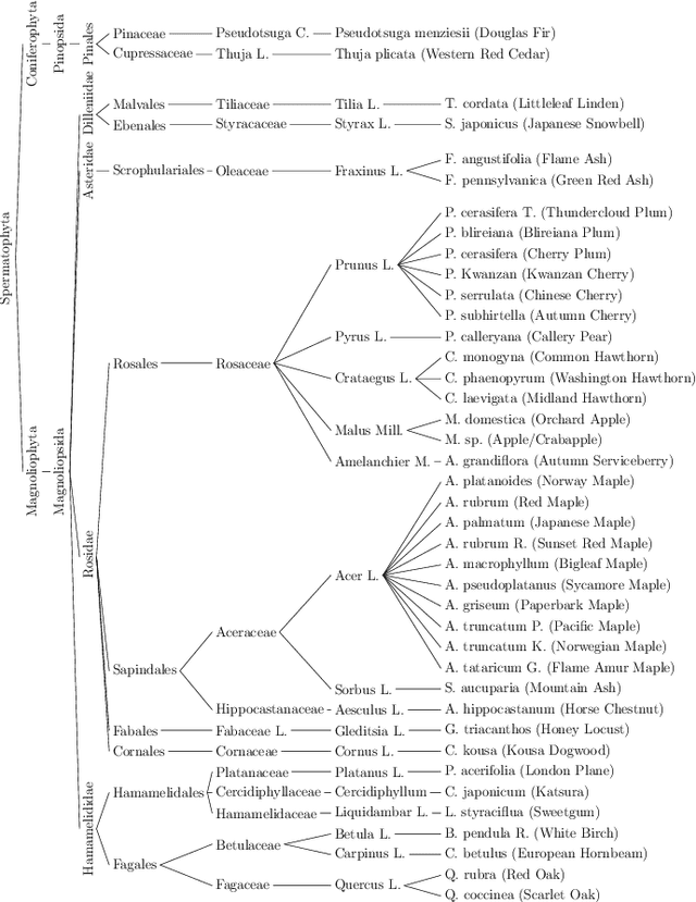 Figure 3 for Weakly Supervised Instance Attention for Multisource Fine-Grained Object Recognition with an Application to Tree Species Classification