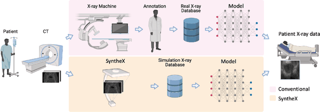 Figure 1 for SyntheX: Scaling Up Learning-based X-ray Image Analysis Through In Silico Experiments