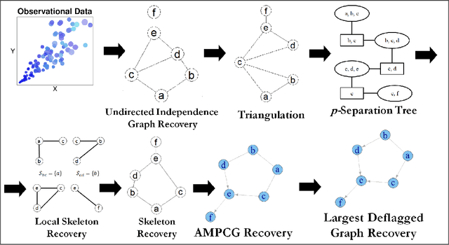 Figure 1 for AMP Chain Graphs: Minimal Separators and Structure Learning Algorithms