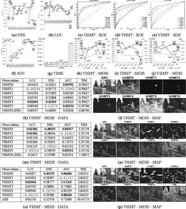 Figure 2 for Multi-scale Visual Attention & Saliency Modelling with Decision Theory