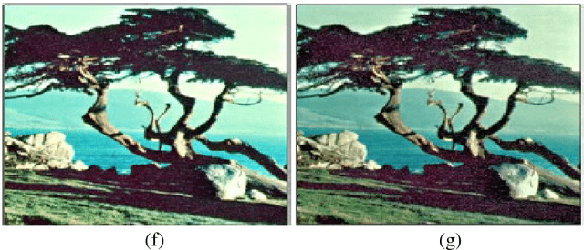 Figure 3 for Alpha-rooting color image enhancement method by two-side 2-D quaternion discrete Fourier transform followed by spatial transformation