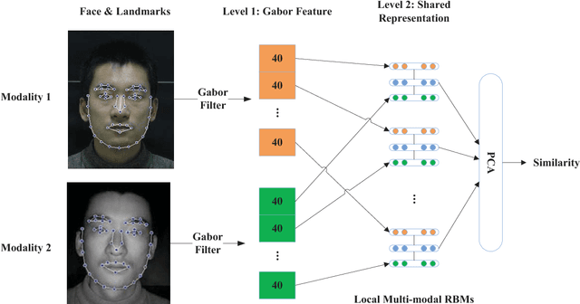 Figure 2 for Shared Representation Learning for Heterogeneous Face Recognition