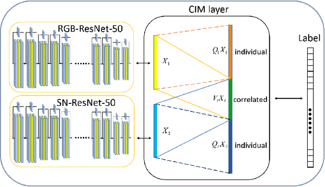 Figure 1 for Correlated and Individual Multi-Modal Deep Learning for RGB-D Object Recognition