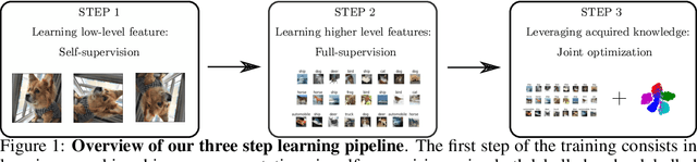 Figure 1 for Automatically Discovering and Learning New Visual Categories with Ranking Statistics