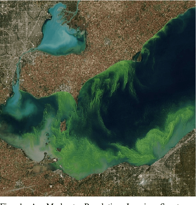 Figure 1 for The feasibility of automated identification of six algae types using neural networks and fluorescence-based spectral-morphological features