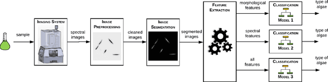 Figure 2 for The feasibility of automated identification of six algae types using neural networks and fluorescence-based spectral-morphological features