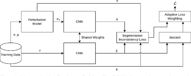 Figure 1 for Segmentation Consistency Training: Out-of-Distribution Generalization for Medical Image Segmentation