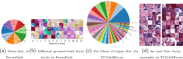 Figure 3 for FocusLiteNN: High Efficiency Focus Quality Assessment for Digital Pathology
