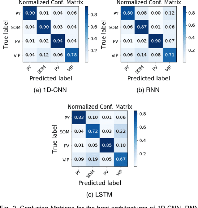 Figure 3 for Artificial neural networks in action for an automated cell-type classification of biological neural networks