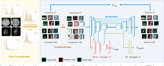 Figure 1 for Universal Model for 3D Medical Image Analysis