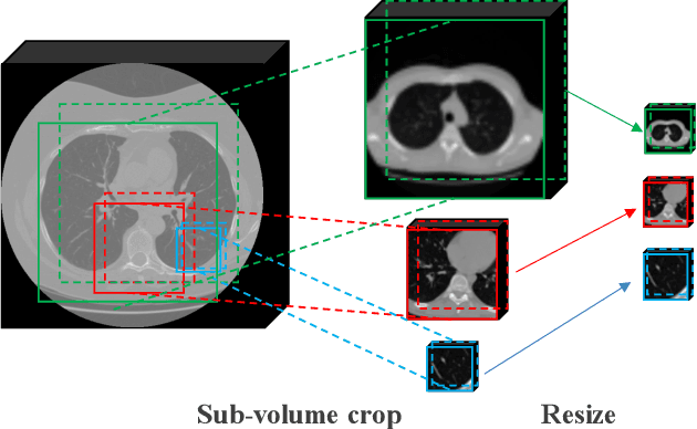 Figure 2 for Universal Model for 3D Medical Image Analysis